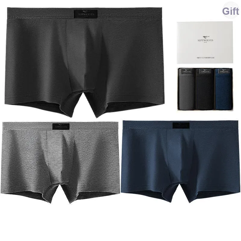 SEPTWOLVES Underwear Gift Box Men's-10