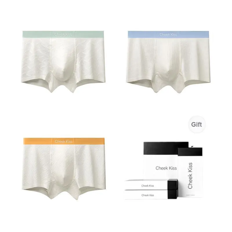 Cheekkiss Underpants Men's Box 3 Pack-10