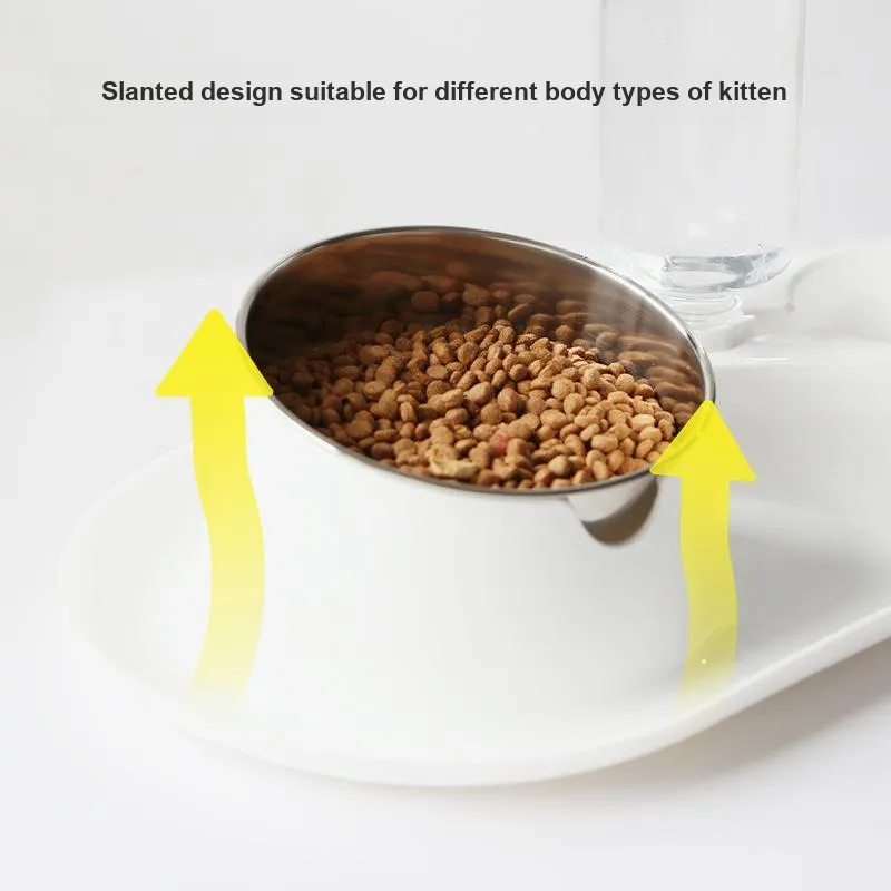 Vegebrand Cat And Dog Bowls & Slow Feeder Bowls-3