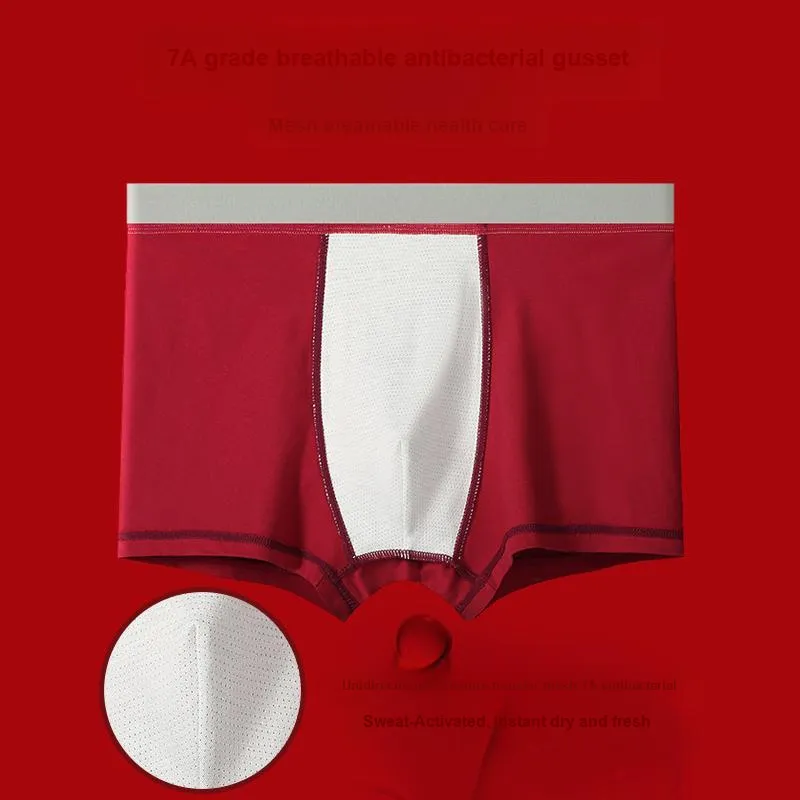 MIIOW Honmei Honmei Series Underpants Men's Combo Set-12