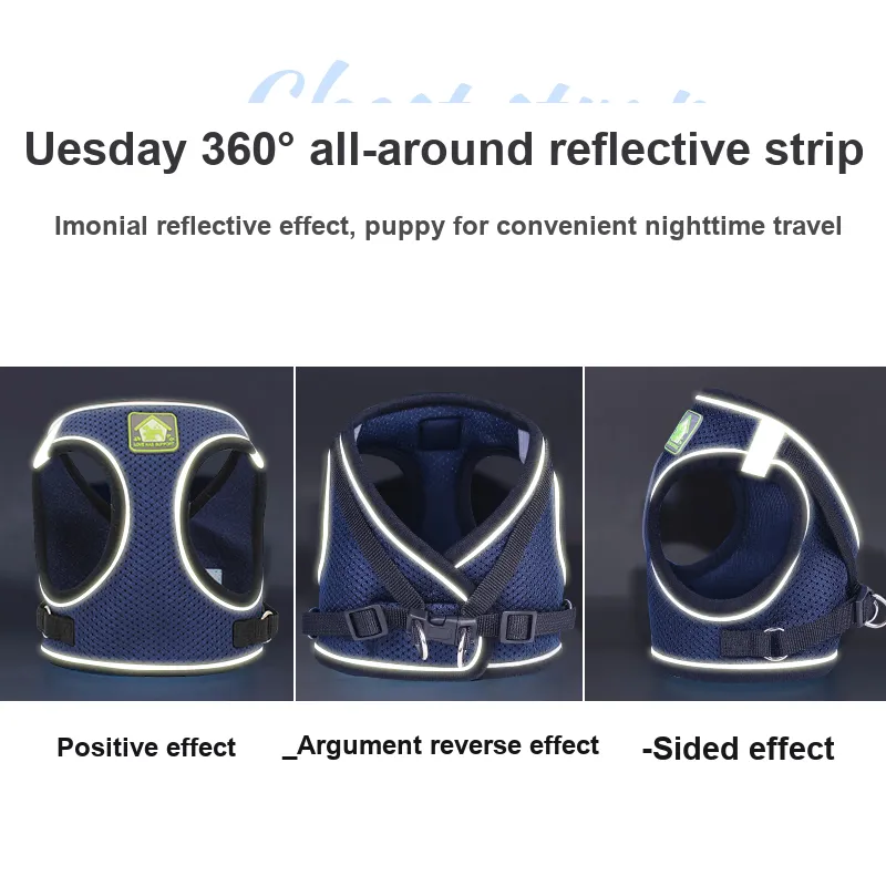 Pampering Leashes-26