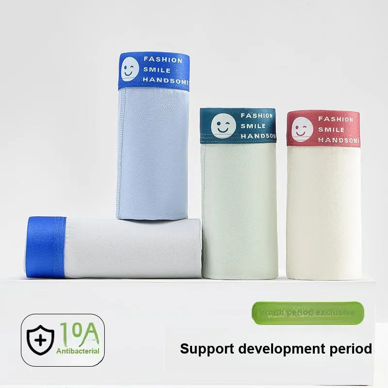 Herbal Primer Underpants Men's 4 Pack-15