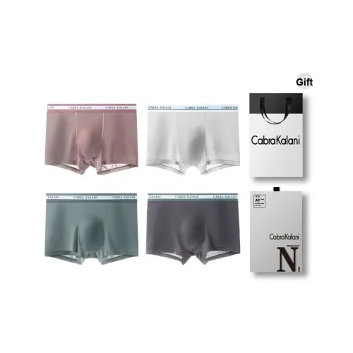 CABRAKALANI Cabra Kalani Бренд Контроль Антибактериальный Полиамид Ледяной Шелк Трусы 4 Пачки Мужские Боксеры