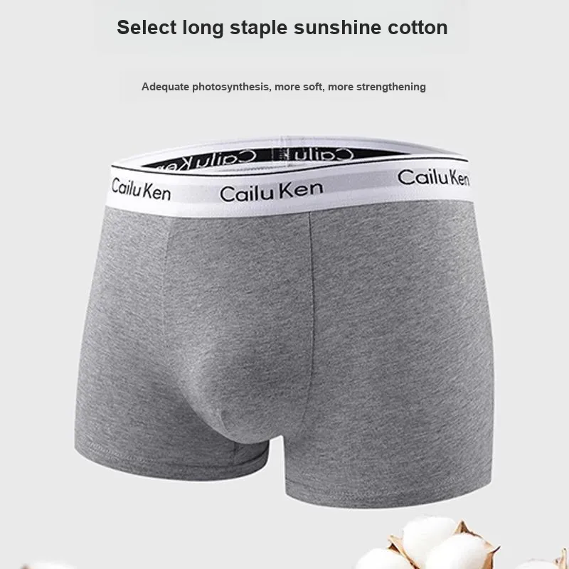 Inside The Orange Underpants Men's 4 Pack-3