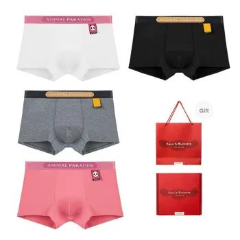 Maiden House Underwear Gift Boxes Men's 4 Pack