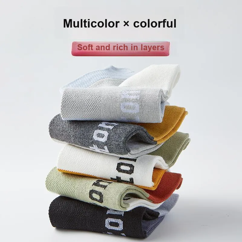 Lanza Men Socks-19