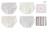 Box 4 Pack (Purple)