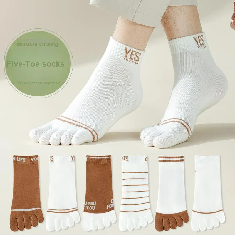 SOIE Mid-Calf Socks Men's Combo Set-1