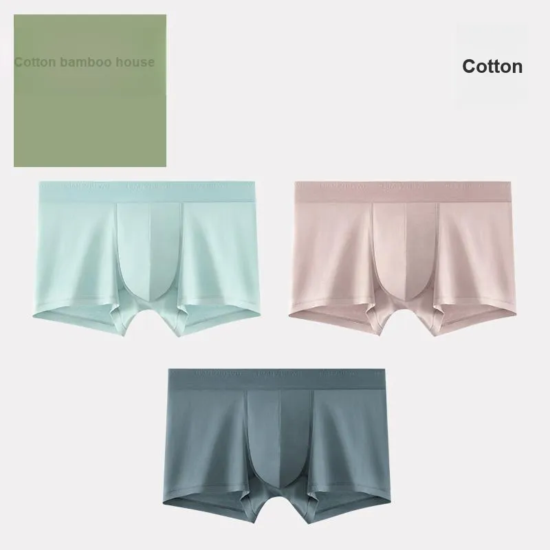B&C.Room Underpants Spring/summer Models Men's 3 Pack-11