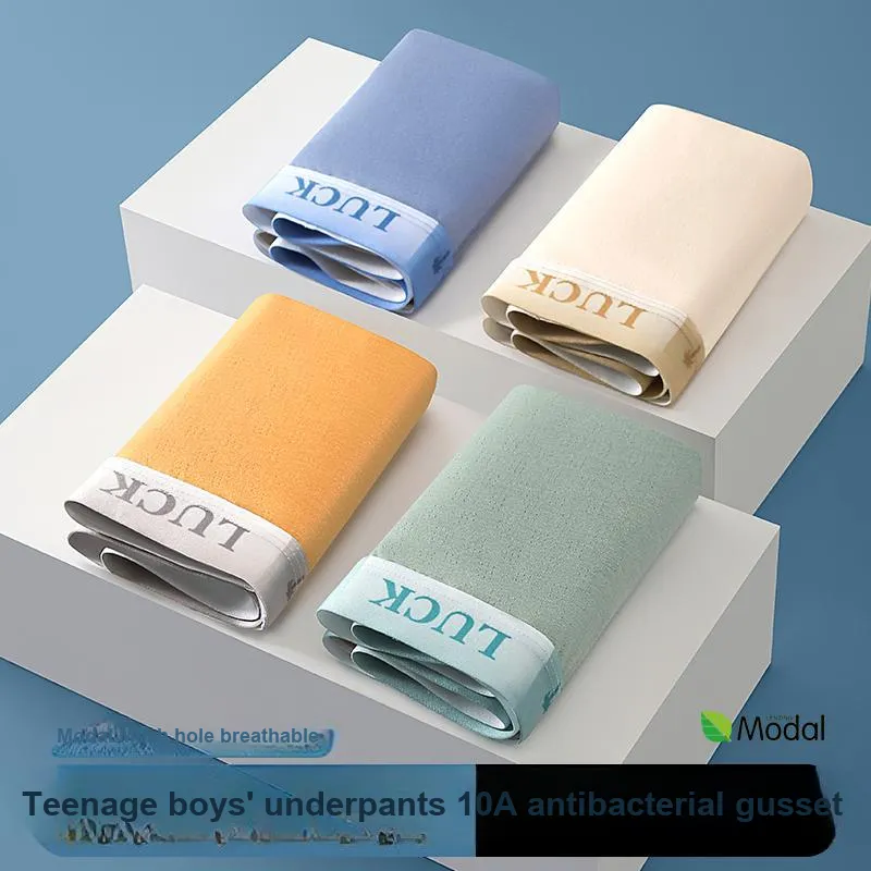 Herbal Primer Underpants Men's 4 Pack-4