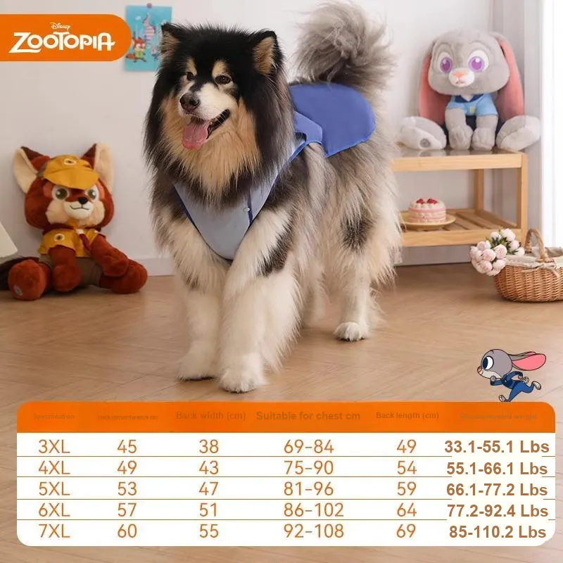 Disney Pet Clothing-13