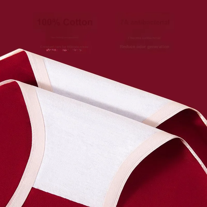 Ordifen Underpants Women's 3 Pack-9