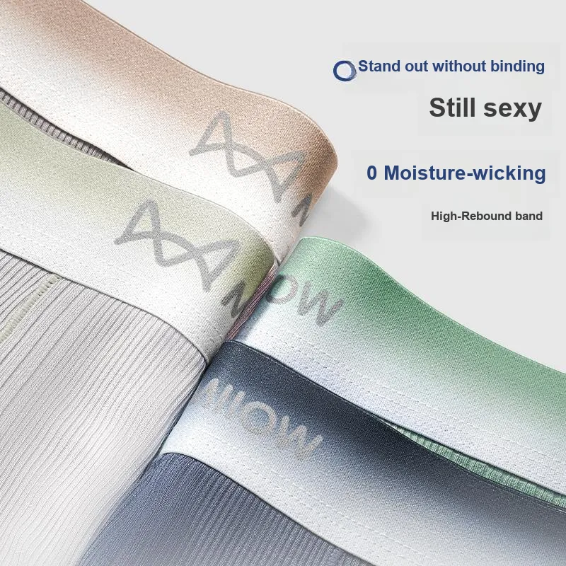 MIIOW Underpants Men's Box 3 Pack-3