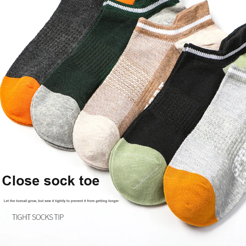 Lanza Men Socks-16