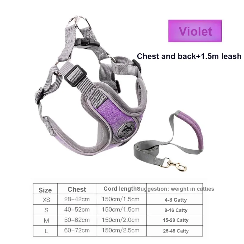 Kimpets Leashes-2