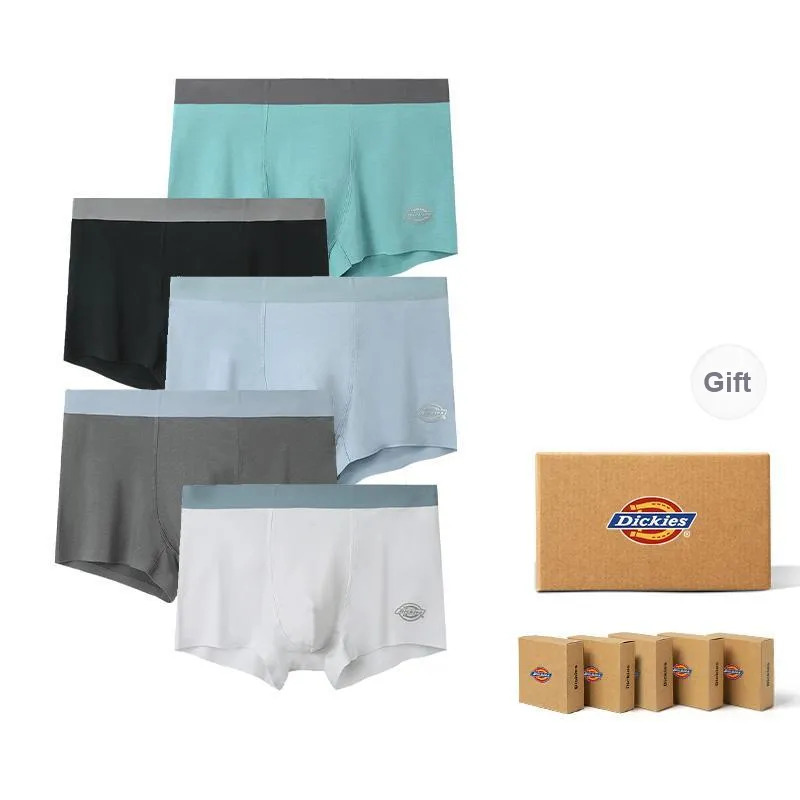 Dickies Underpants Men's Modal Cotton Premium Flat Box Combo Set-20