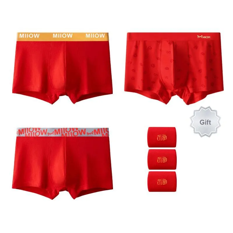 MIIOW Men Underpants-3