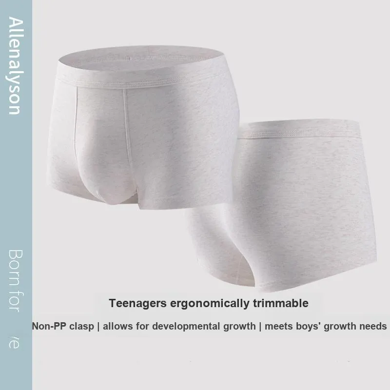 Allenalyson Underpants Men's 3 Pack-11