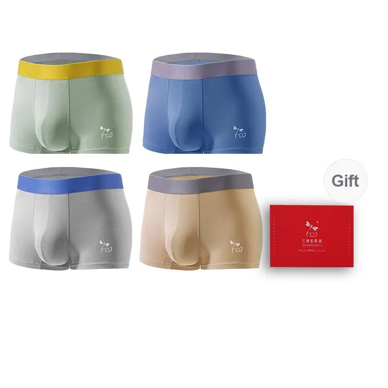 RED DRAGONFLY 50S Pure Cotton Underpants Men's Gift Box Set Of 4-5