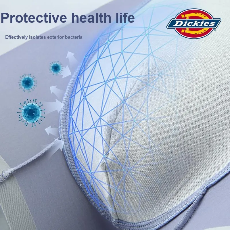 Dickies Underpants Men's Box 3 Pack-16