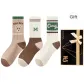 Bear M Letter, English (3 Pack)