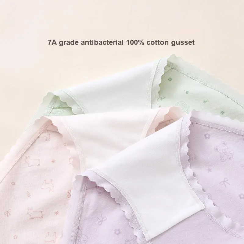 FENTENG Underpants Women's 3 Pack-3