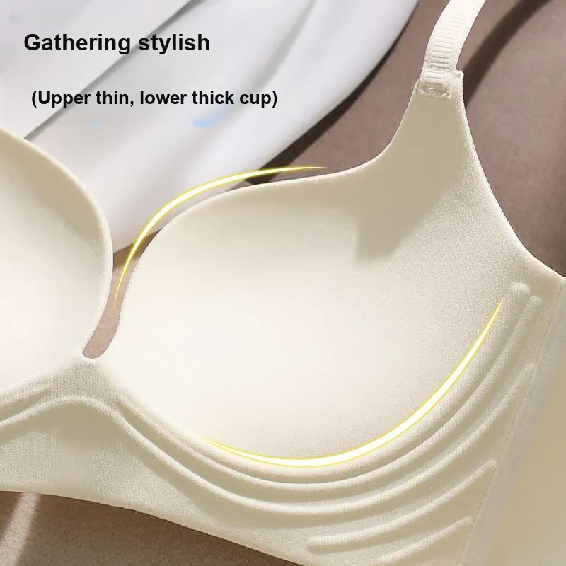 David Women's Bras-14