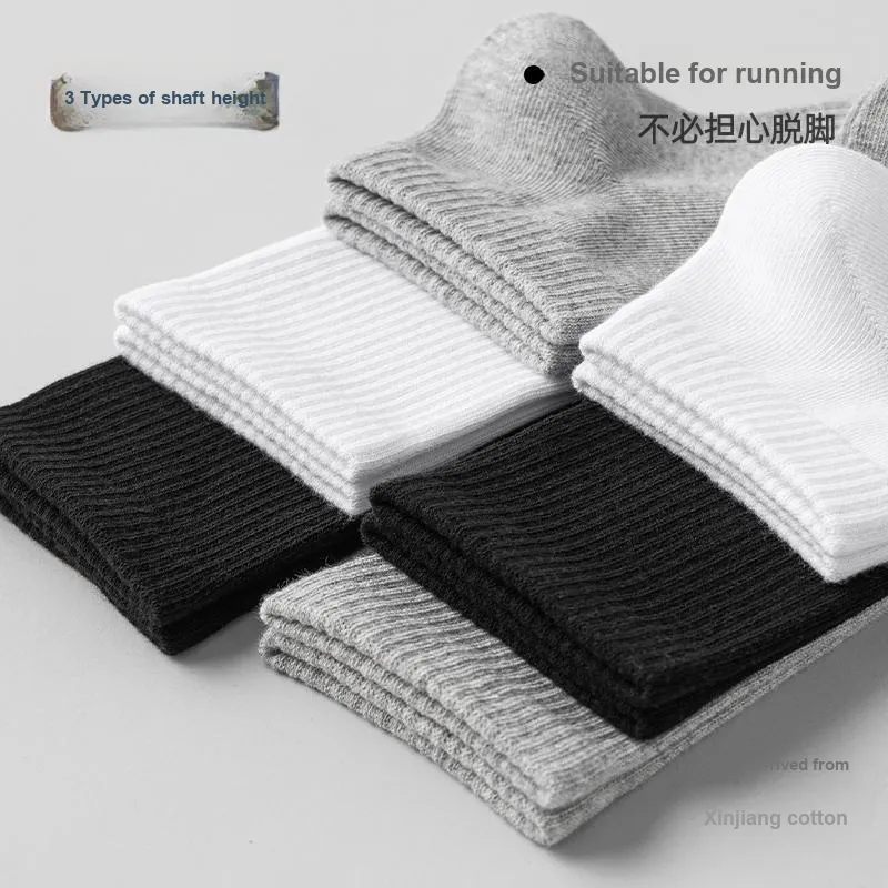 Lan Miao Mid Calf Socks Men's 5 Pack-2