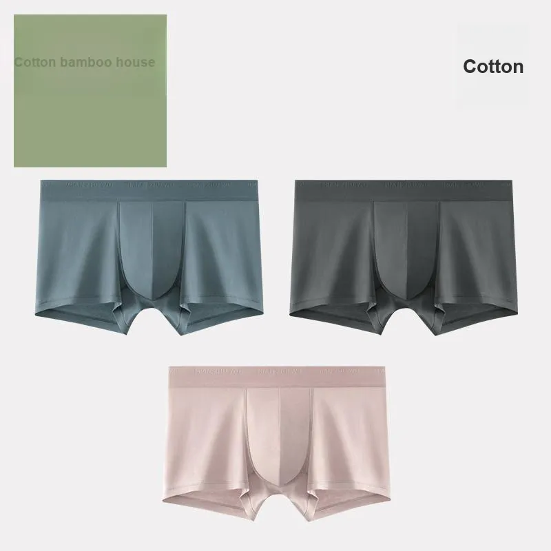 B&C.Room Underpants Spring/summer Models Men's 3 Pack-14