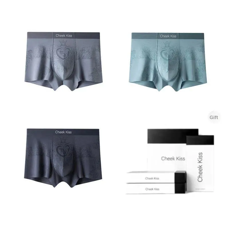 Cheekkiss Underwear Gift Boxes Men's 3 Pack-21