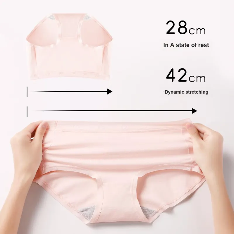 Lee Underwear Gift Box Women's Gift Box Of 2 Strips-2