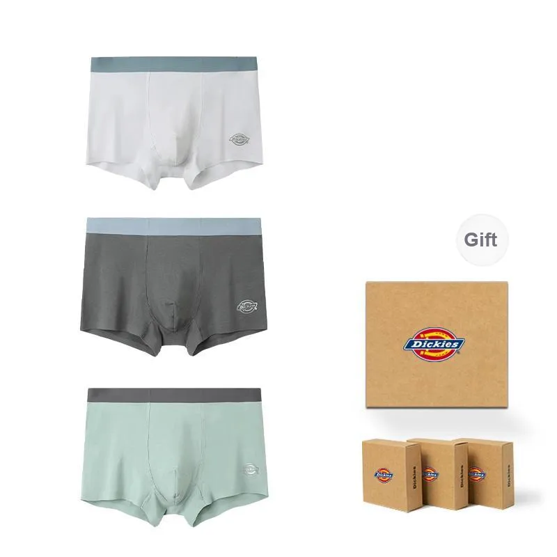 Dickies Underpants Men's Modal Cotton Premium Flat Box Combo Set-13