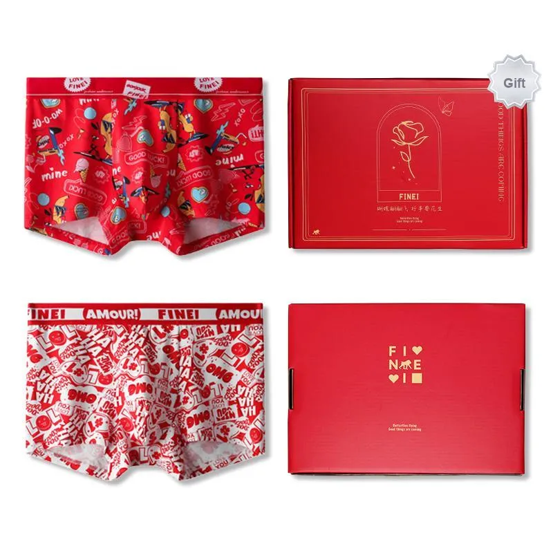 FINEI Underpants Men's Gift Box Of 2 Strips