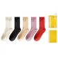 [5 Pack]Milk White+Black+Skin+Rose Red+Red