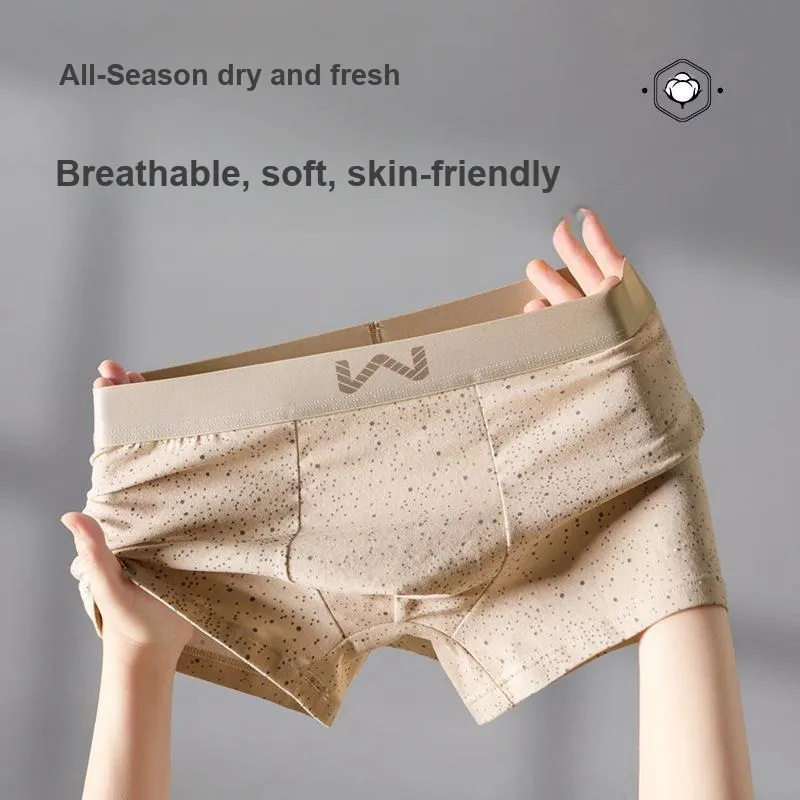 ROBINHOOD Underpants Men's 3 Pack-6