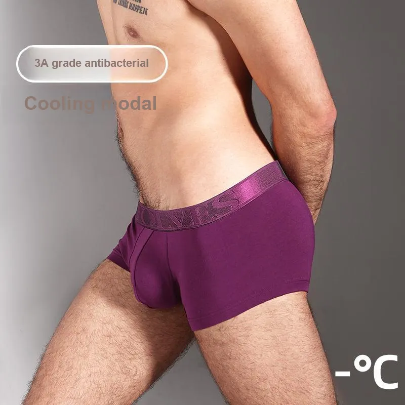 SEPTWOLVES Boxer Shorts Men's Gift Box Set+Shopping Bag-20