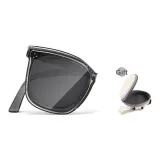 Transparent Gray Gray Lens