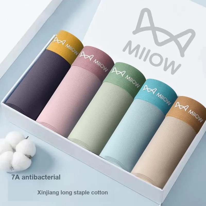 MIIOW Underpants Men's Shopping Bag Combo Set-1