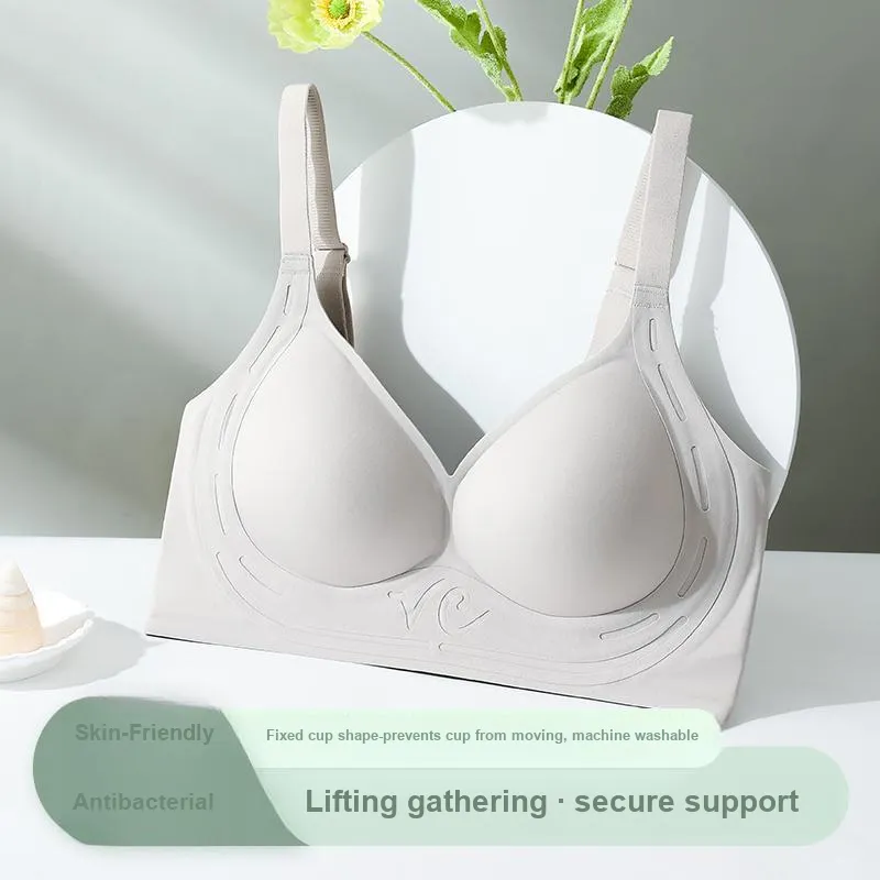 Caramella Women's Bras-12
