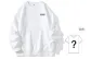 White (Comes with Short-Sleeved Base Layer)