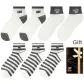 Stripes 3 English 2 Ecru 2 (7 Pack)