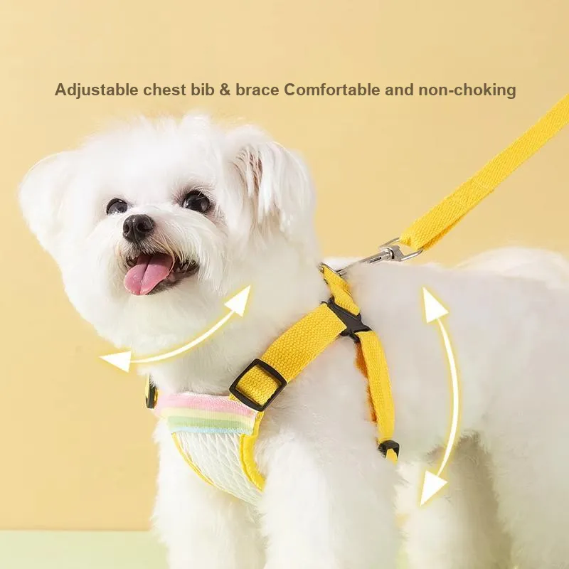 Hippie dogs Leashes-2