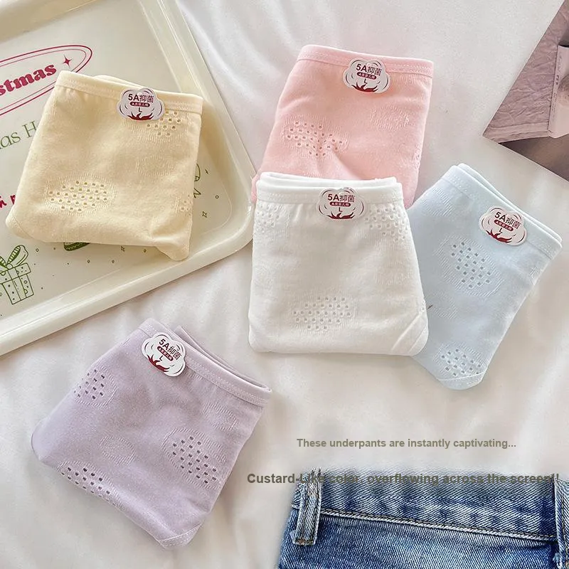 Herbal Primer Underpants Women's 4 Pack-8
