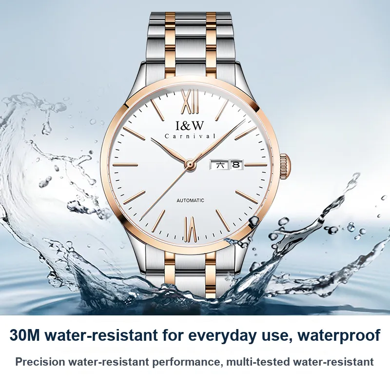 I&W CARNIVAL HWGUOJI Automatic Mechanical Movement Stainless Steel Watchband Watch Men's Watches Gray Dial-25
