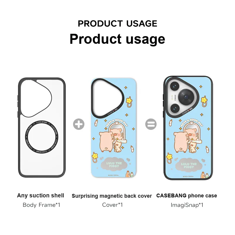 CASEBANG Phone Cases-3