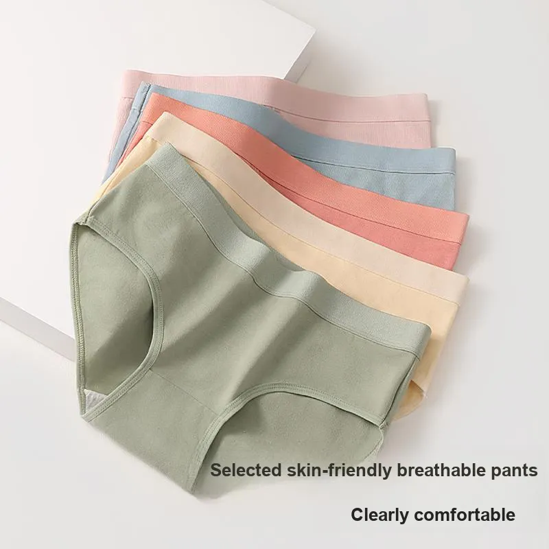 Flowers In Water Underpants Women's 6 Pack-6