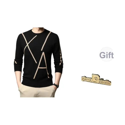 PIERRE CARDIN Мужской Трикотаж