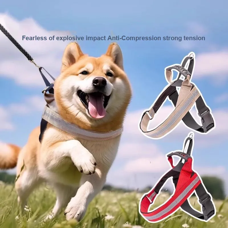 Hippie dogs Leashes-1