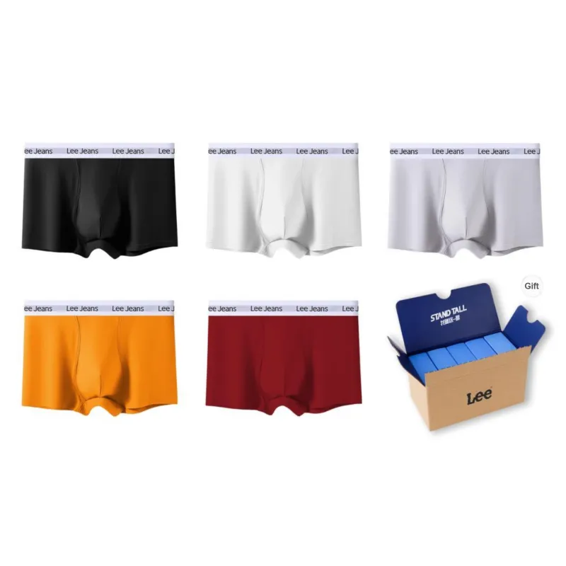 Lee Underpants Men's 5 Pack Gift Box Set-30