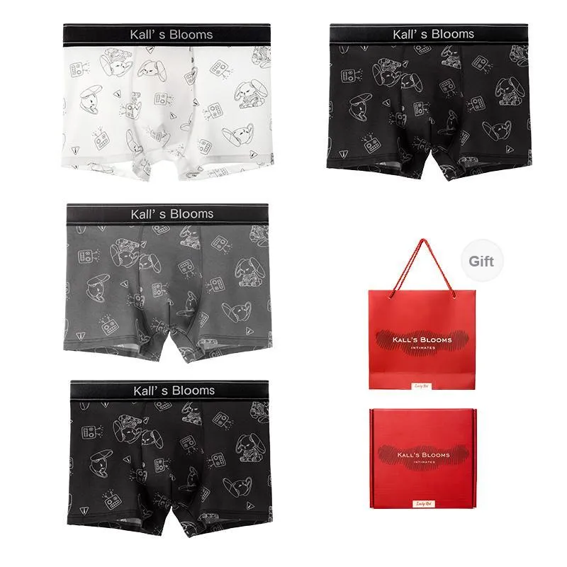 Maiden House Underwear Gift Box Men's Box 4 Pack-7